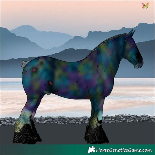 Horse Color:ERROR: UNKNOWN ANOMALY