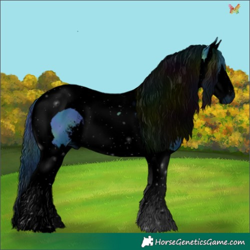 Horse Color:ERROR: UNKNOWN ANOMALY