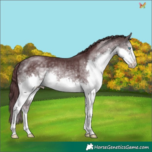 Horse Color:Platinum Chocolate Buckskin Splash 