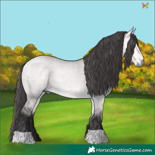 Horse Color:Platinum Buckskin Dun 