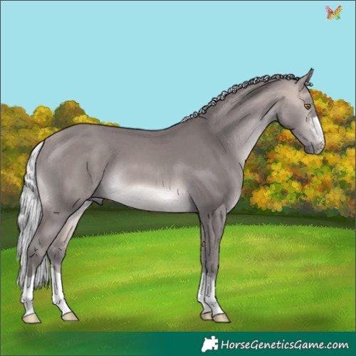 Horse Color:Platinum Silver Buckskin 