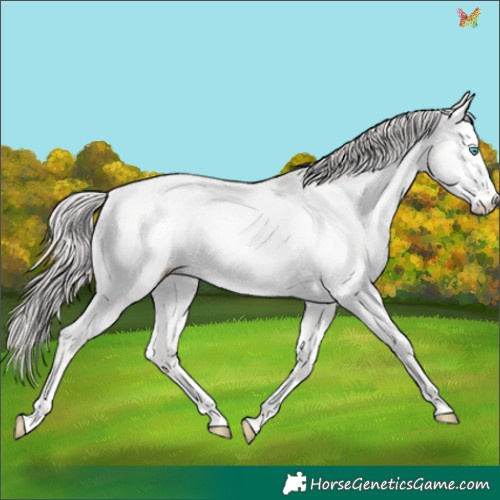 Horse Color:Platinum Chocolate Perlino Dun 