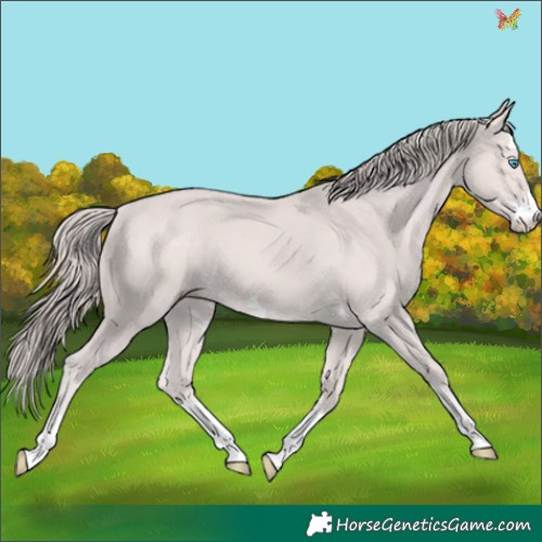 Horse Color:Platinum Chocolate Smoky Creme 