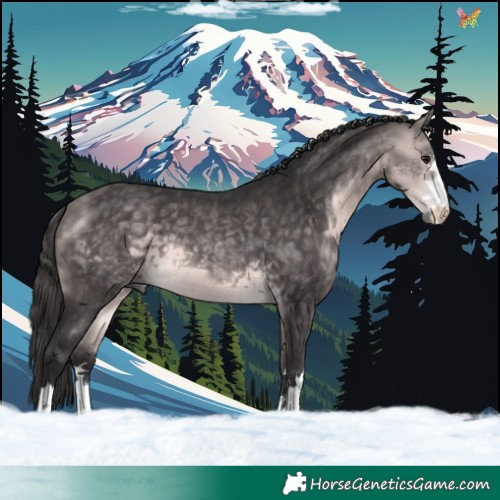 Horse Color:Platinum Buckskin 