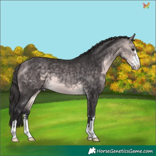 Horse Color:Platinum Buckskin 