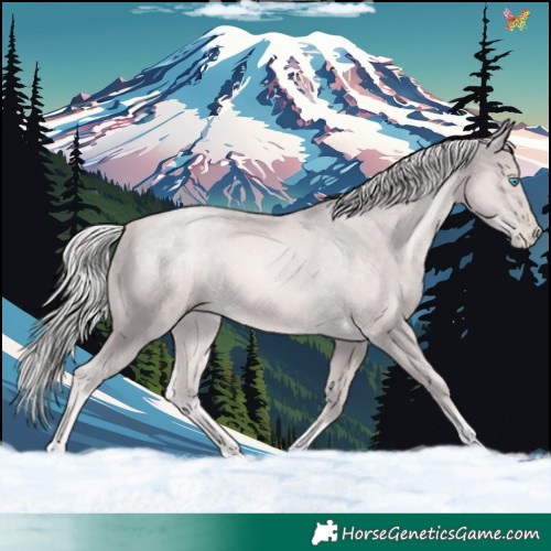 Horse Color:Platinum Chocolate Palomino Pearl 