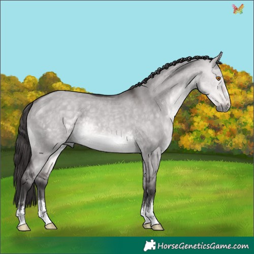 Horse Color:Platinum Buckskin Dun 