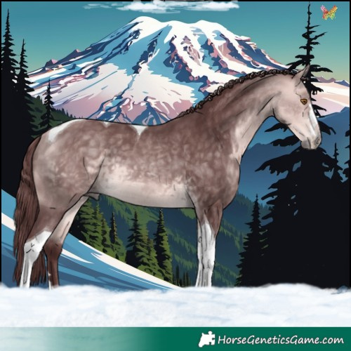 Horse Color:Platinum Chocolate Buckskin Tobiano 