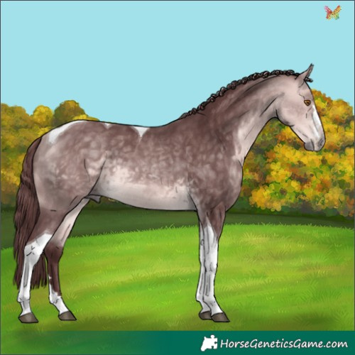 Horse Color:Platinum Chocolate Buckskin Tobiano 