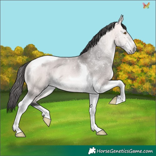 Horse Color:Platinum Buckskin Tobiano 