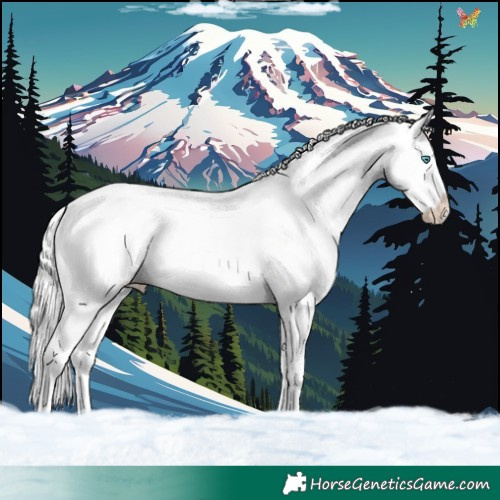 Horse Color:Platinum Chocolate Perlino Dun Splash 