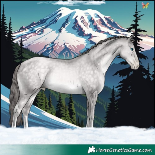 Horse Color:Platinum Chocolate Buckskin Pearl 