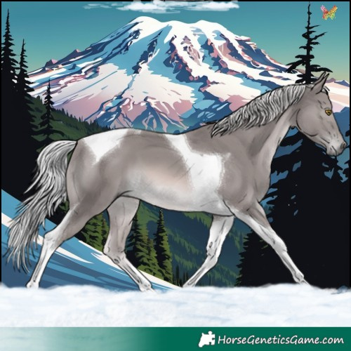 Horse Color:Platinum Chocolate Palomino Tobiano 