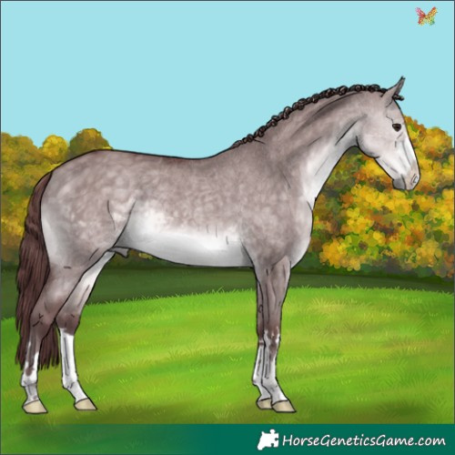 Horse Color:Platinum Chocolate Buckskin Dun 