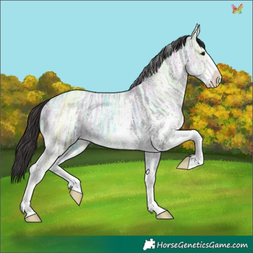 Horse Color:Platinum Smoky Black Ice Sabino 