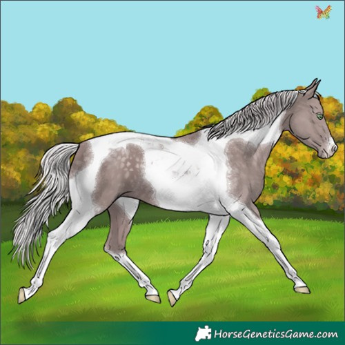 Horse Color:Platinum Chocolate Silver Smoky Black Tobiano 