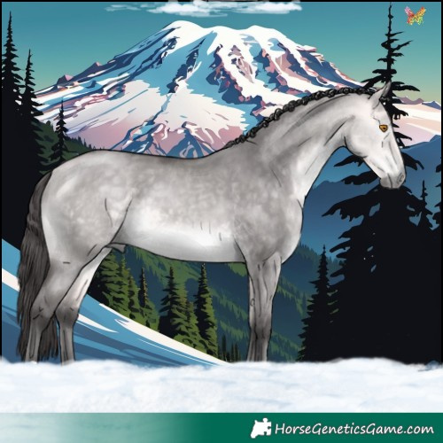 Horse Color:Platinum Buckskin Dun 
