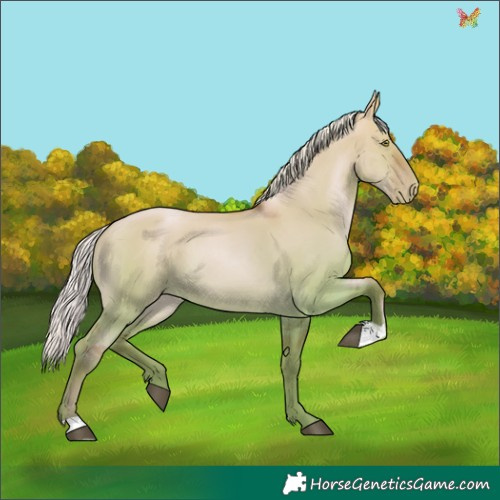 Horse Color:Silver Bay Pearl Dun 