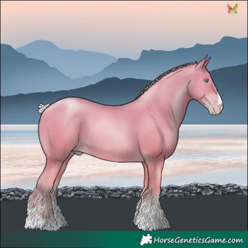 Horse Color:Silver Amber Champagne Pearl 