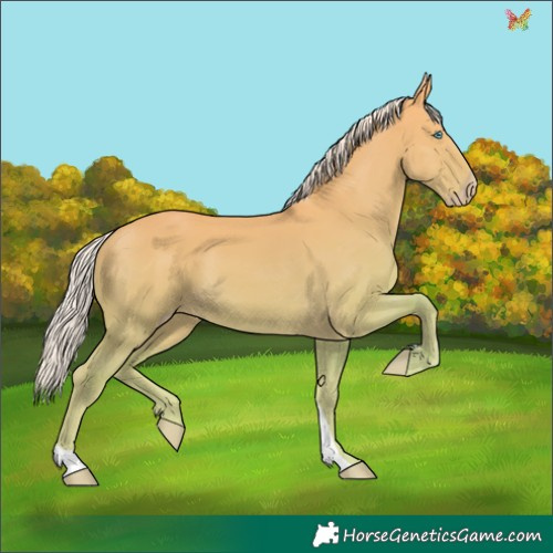 Horse Color:Silver Perlino Dun 