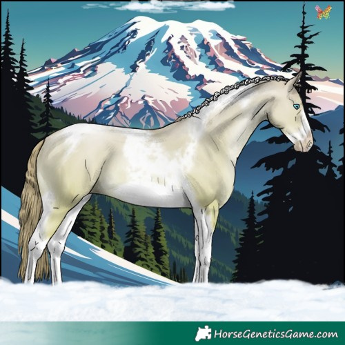 Horse Color:Gold Champagne Pearl Dun Tobiano Frame