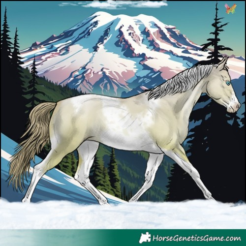 Horse Color:Gold Champagne Pearl Dun Tobiano Frame 