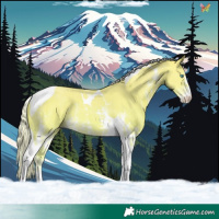Horse Color:Cremello Sabino Tobiano 