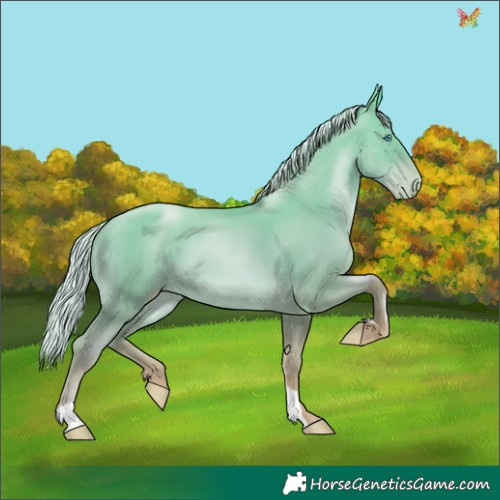 Horse Color:Silver Amber Champagne Pearl Dun