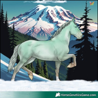 Horse Color:Silver Amber Champagne Pearl Dun