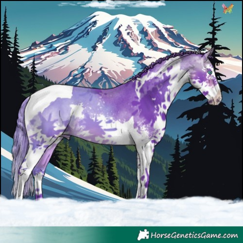 Horse Color:Watercolor Buckskin Sabino Splash Tobiano 