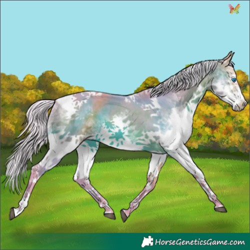 Horse Color:Watercolor Silver Brown Splash Tobiano Frame 