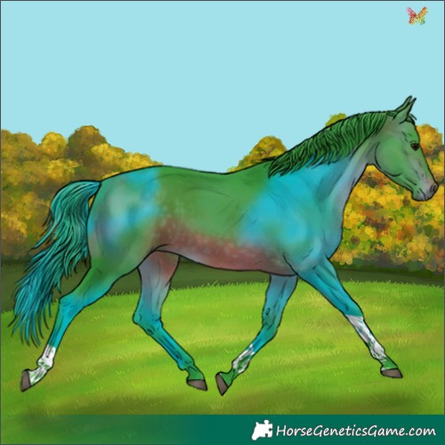 Horse Color:Watercolor Brown Tobiano 
