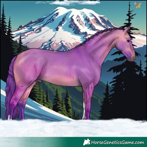 Horse Color:Watercolor Buckskin Dun Tobiano 