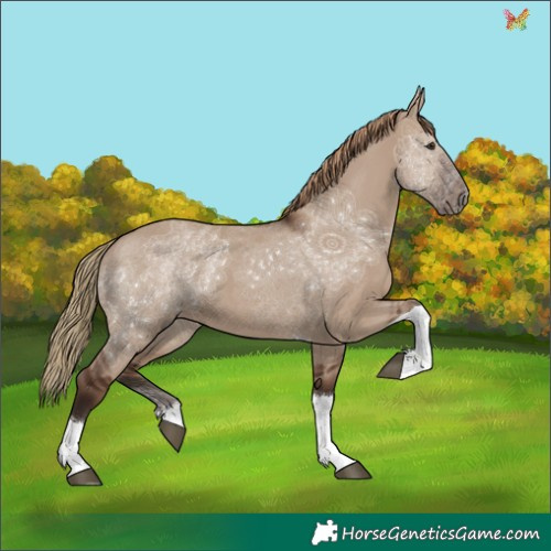 Horse Color:Liver Red Dun Tobiano 
