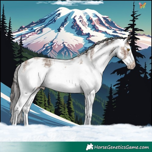 Horse Color:White Spotted Sable Champagne Frame 