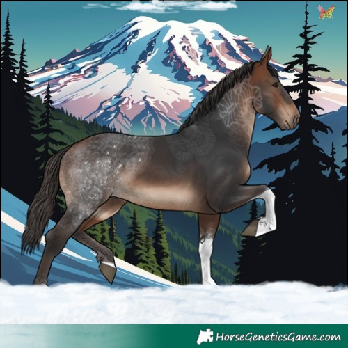 Horse Color:Bay Tobiano 