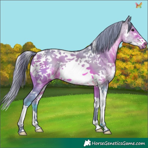 Horse Color:Watercolor Brown Sabino Tobiano Frame 