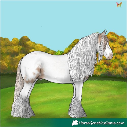 Horse Color:Red Dun Splash Tobiano Frame 