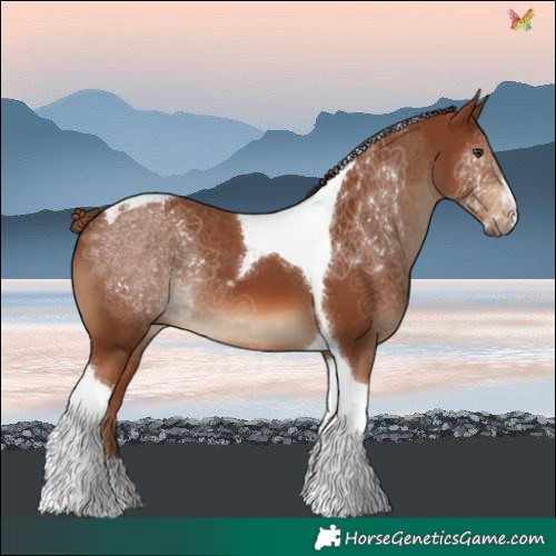 Horse Color:Chestnut Tobiano 