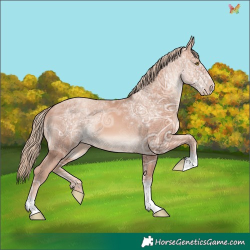 Horse Color:Gold Champagne Ice Tobiano 