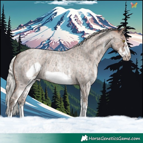 Horse Color:White Spotted Silver Sable Champagne Ice Roan Frame 