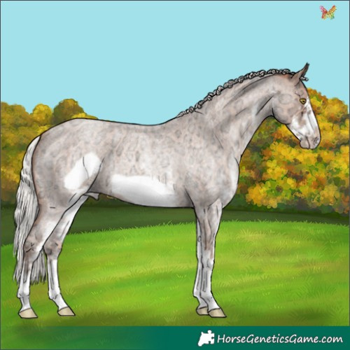 Horse Color:White Spotted Silver Sable Champagne Ice Roan Frame 