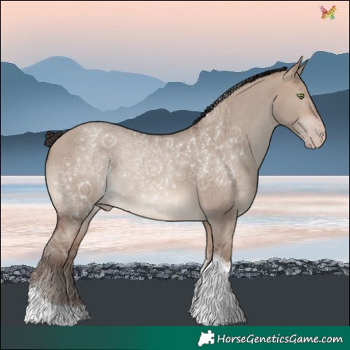 Horse Color:Sable Champagne Dun Tobiano 