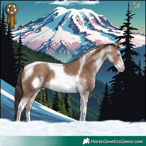 Horse Color:White Spotted Sable Champagne Tobiano Frame 