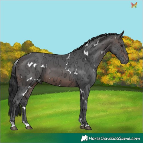 Horse Color:White Spotted Brown Ice 