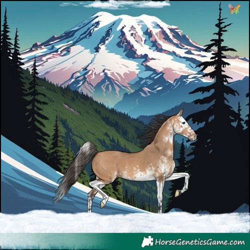 Horse Color:White Spotted Bay Dun Splash 