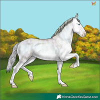 Horse Color:Watercolor Plaid  White Spotted Chocolate Palomino Pearl Onyx Splash 