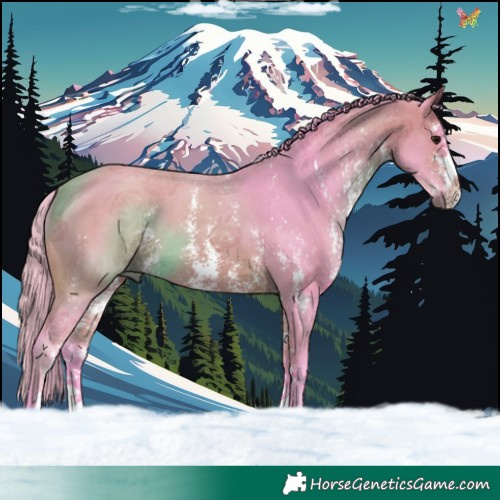 Horse Color:Watercolor Bay Sabino 
