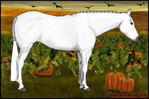 Horse Color:Gray Chestnut 