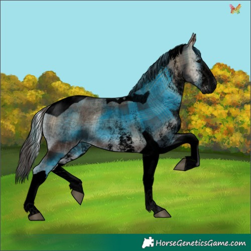 Horse Color:Void Plaid  White Spotted Blue Onyx Tobiano 